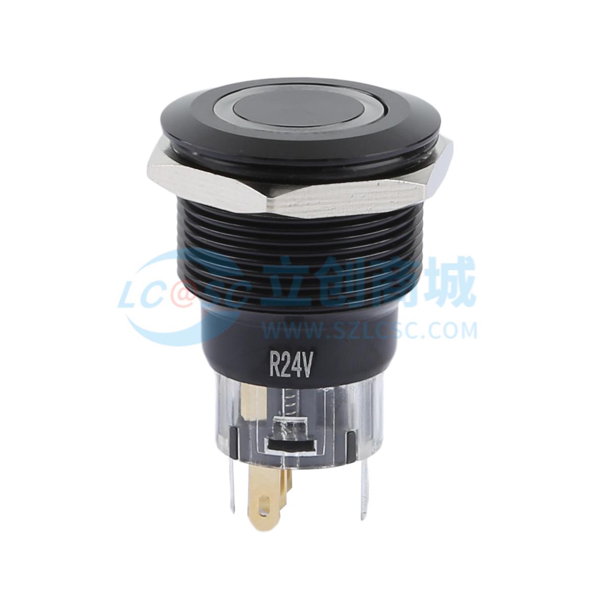 TP92213P224RA实物图