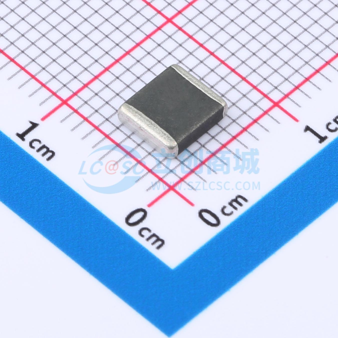 RL2220A101K实物图