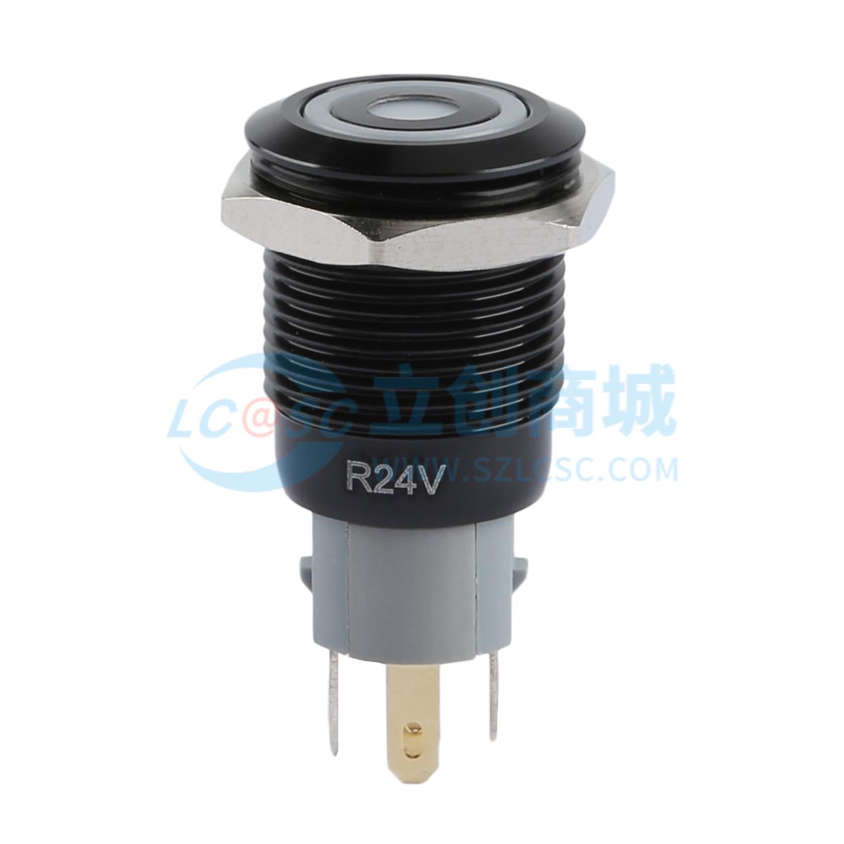 TP91611P224RA实物图