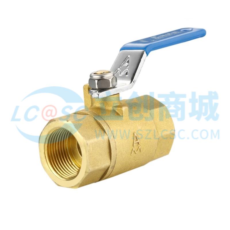 Q11F-40T-DN10实物图