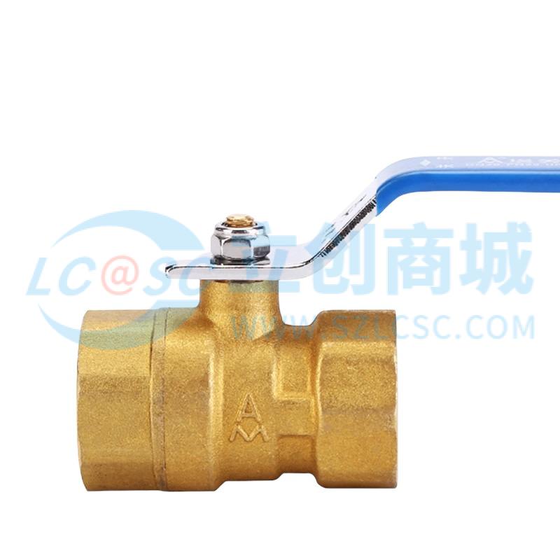 Q11F-20T-DN8实物图