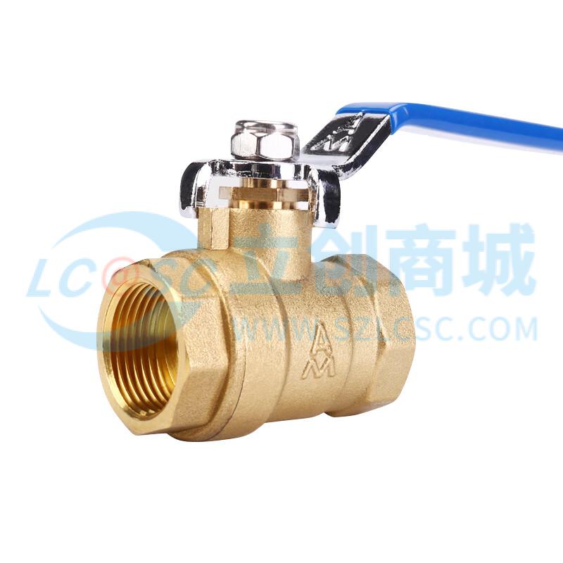 Q11F-20T-DN40实物图