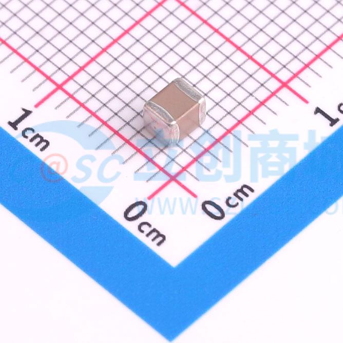 1210B106K160NT实物图