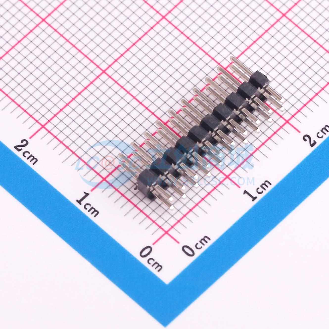 2005WV-2x10P实物图