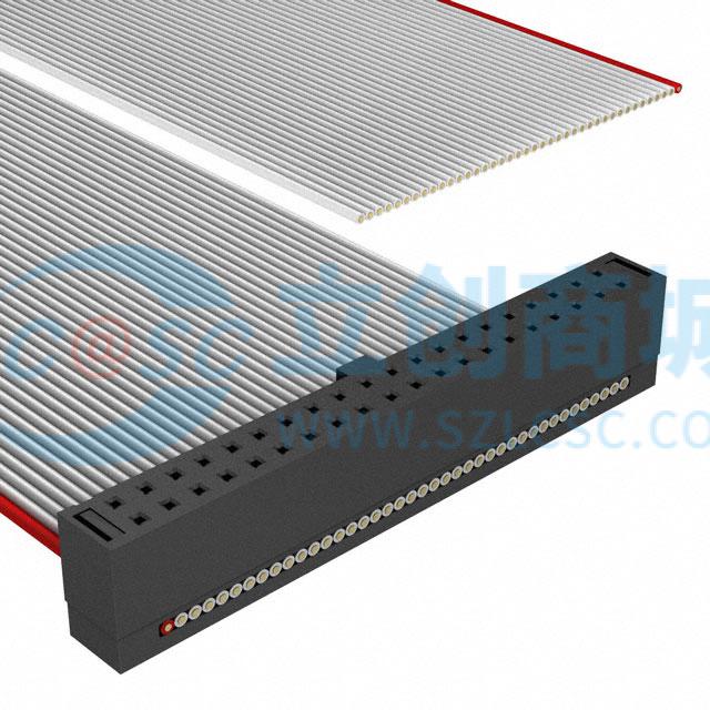 FFSD-20-S-03.00-01-N实物图