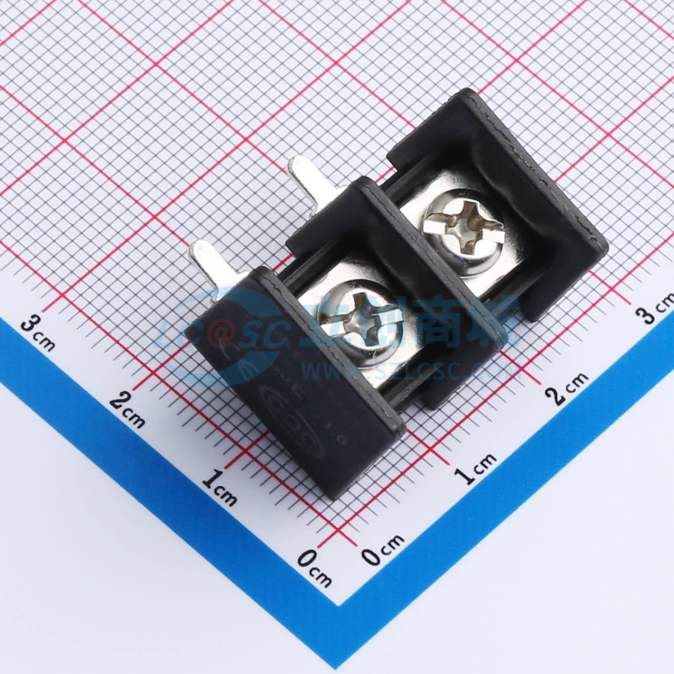 DBT30R-11.0-2P-BK-P实物图