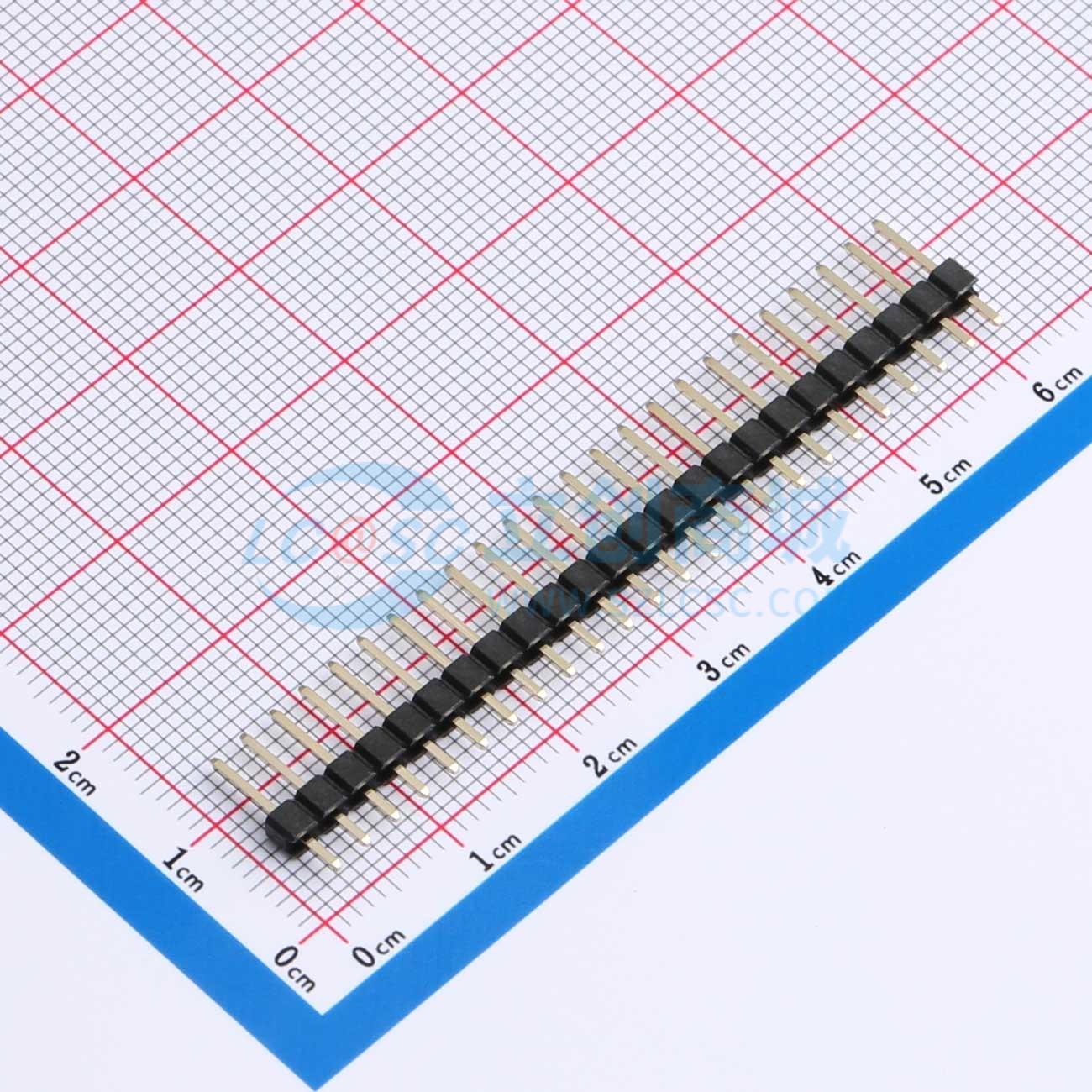 PZ254V-11-24P实物图