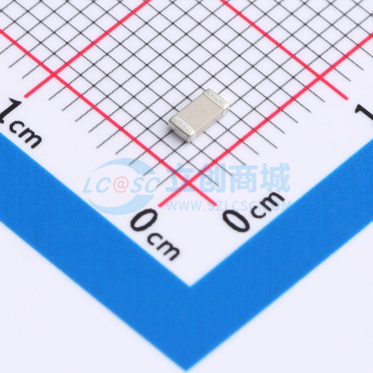 FM31N102J101PXG实物图