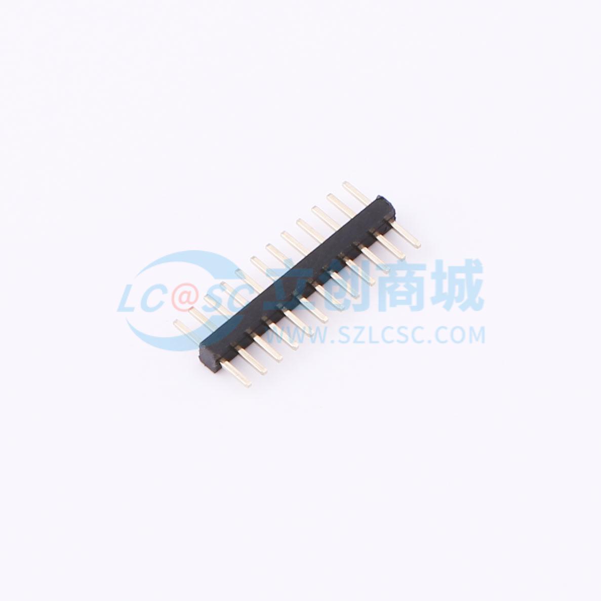 ZX-PZ1.0-1-12PZZ商品缩略图