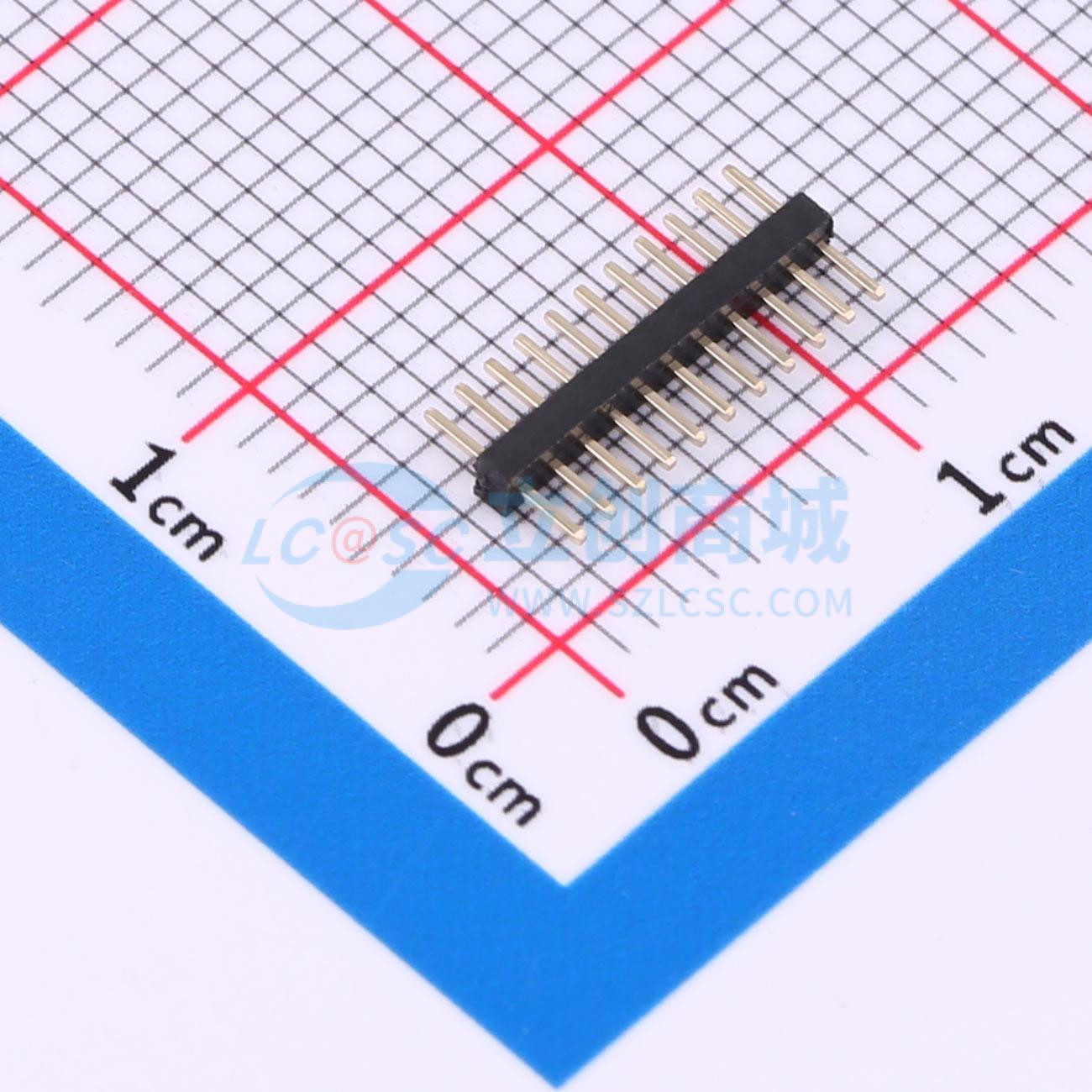 点击查看大图 BX-PZ1.0-1-11PZZ实物图