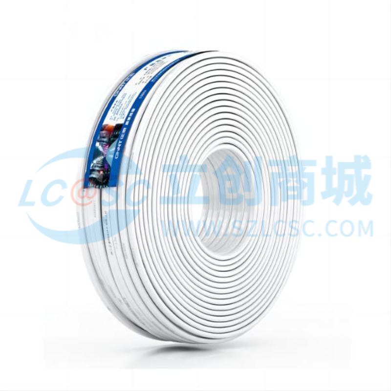 CW RVV-300/500V-2x6实物图