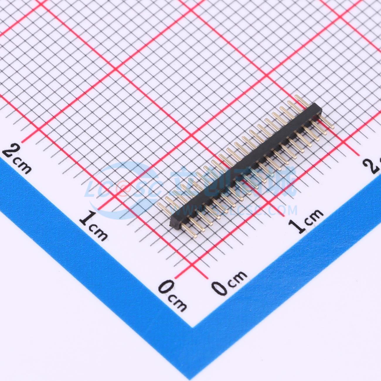 点击查看大图 BX-PZ1.0-1-19PZZ实物图