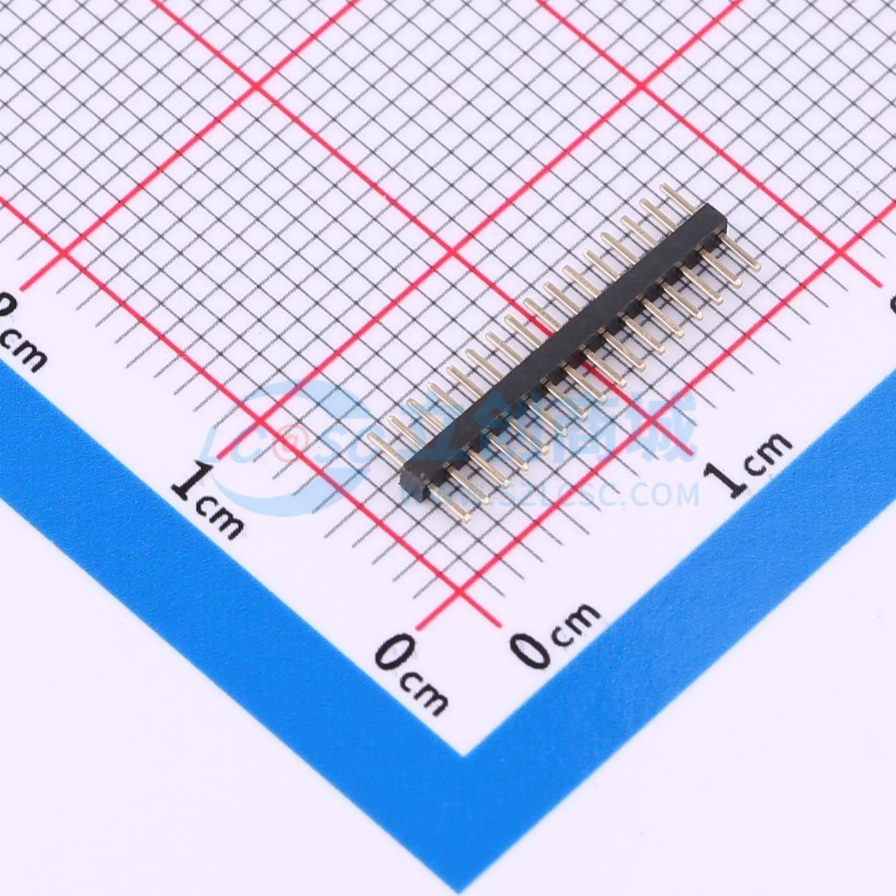 BX-PZ1.0-1-16PZZ实物图