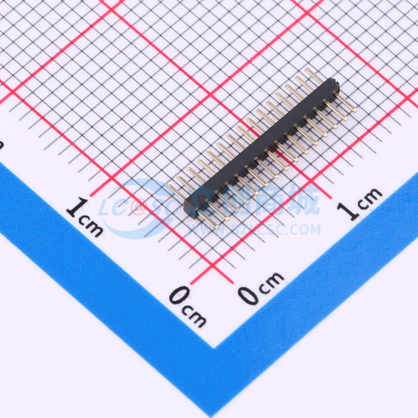 点击查看大图 BX-PZ1.0-1-15PZZ实物图