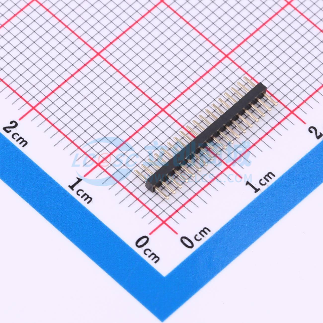 点击查看大图 BX-PZ1.0-1-18PZZ实物图