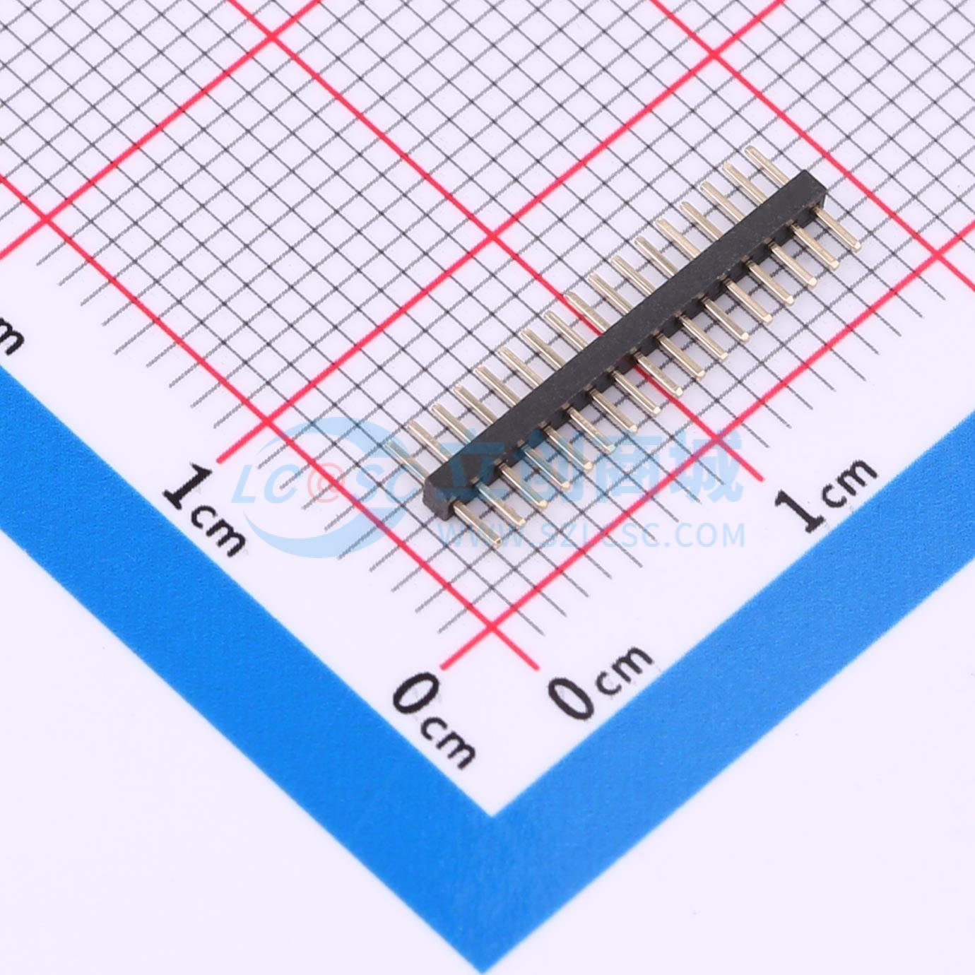 BX-PZ1.0-1-17PZZ实物图