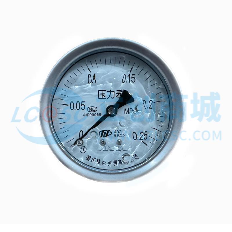 YTHN-100Z 100mm/0-0.4MPa/NPT1/2实物图
