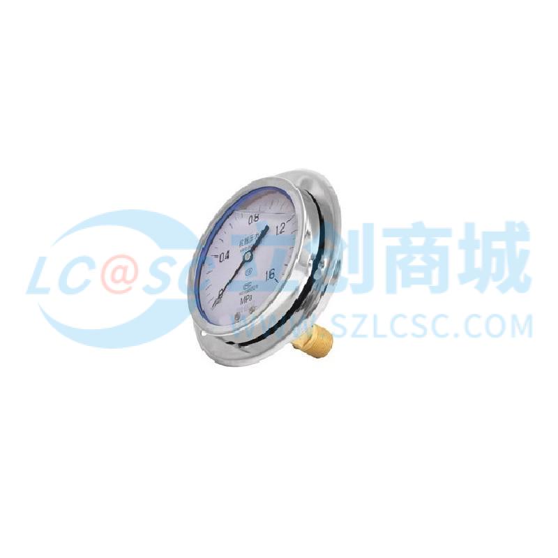 YTN-60ZT60mm/0-25MPa/NPT1/4实物图