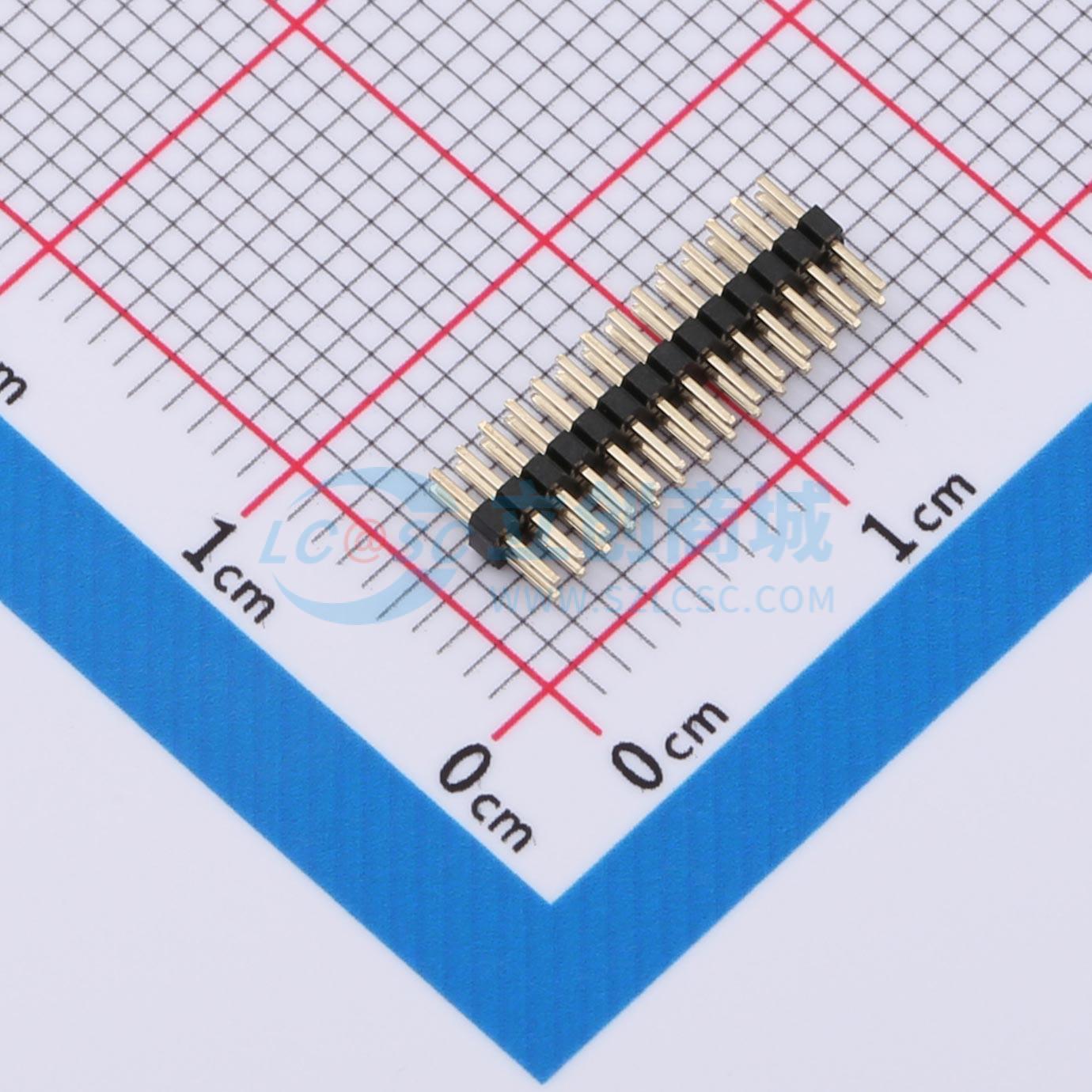 ZX-PZ1.0-2-14PZZ实物图