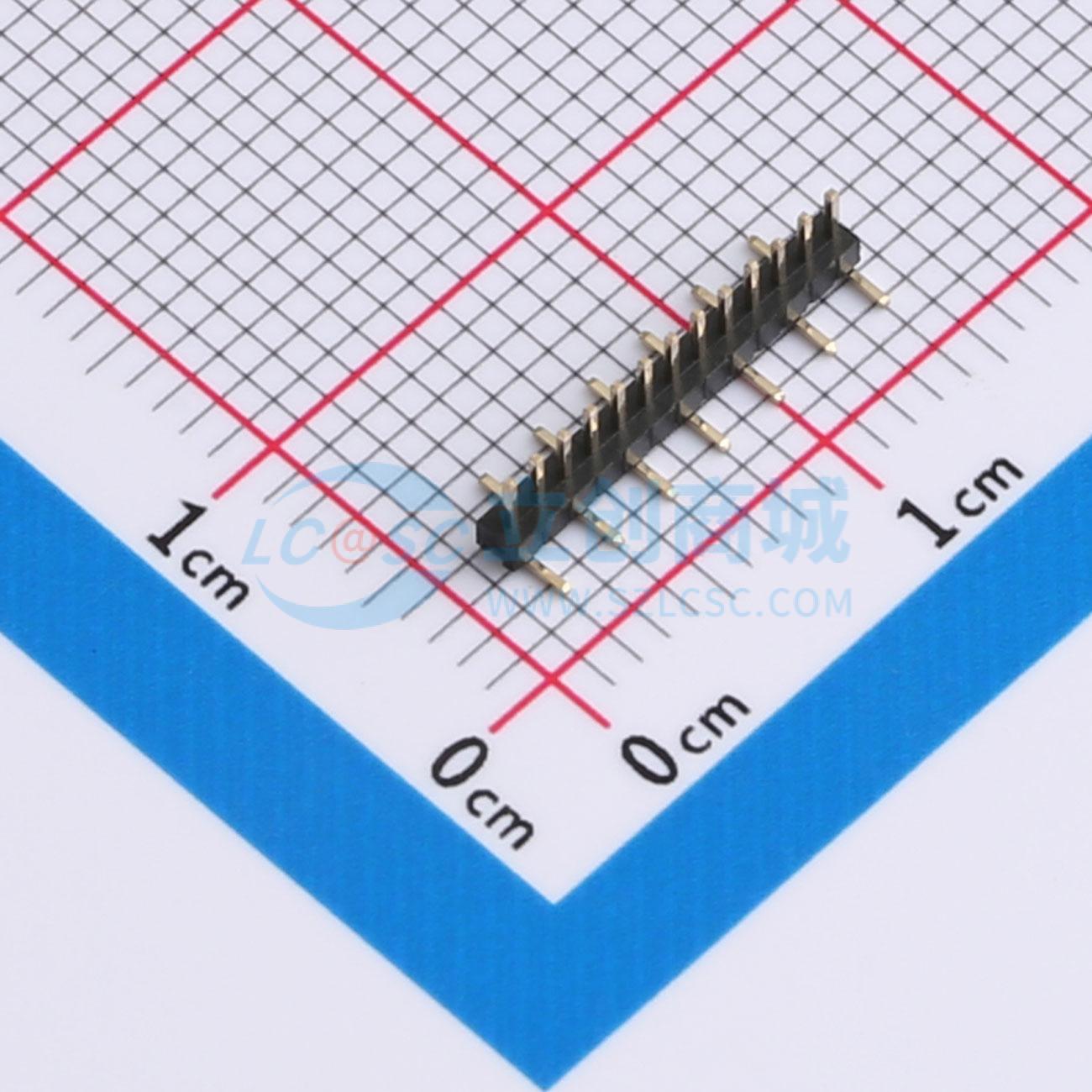 BX-PZ1.0-1-13PWZ实物图