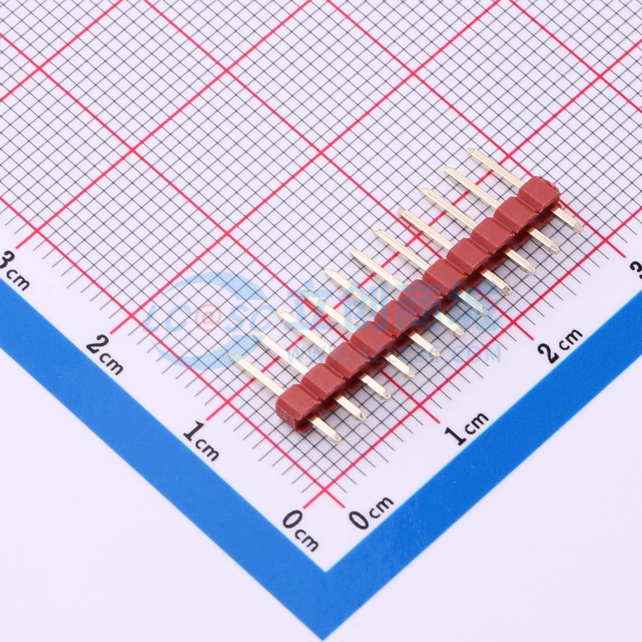 PZ254V-11-11P-RD实物图