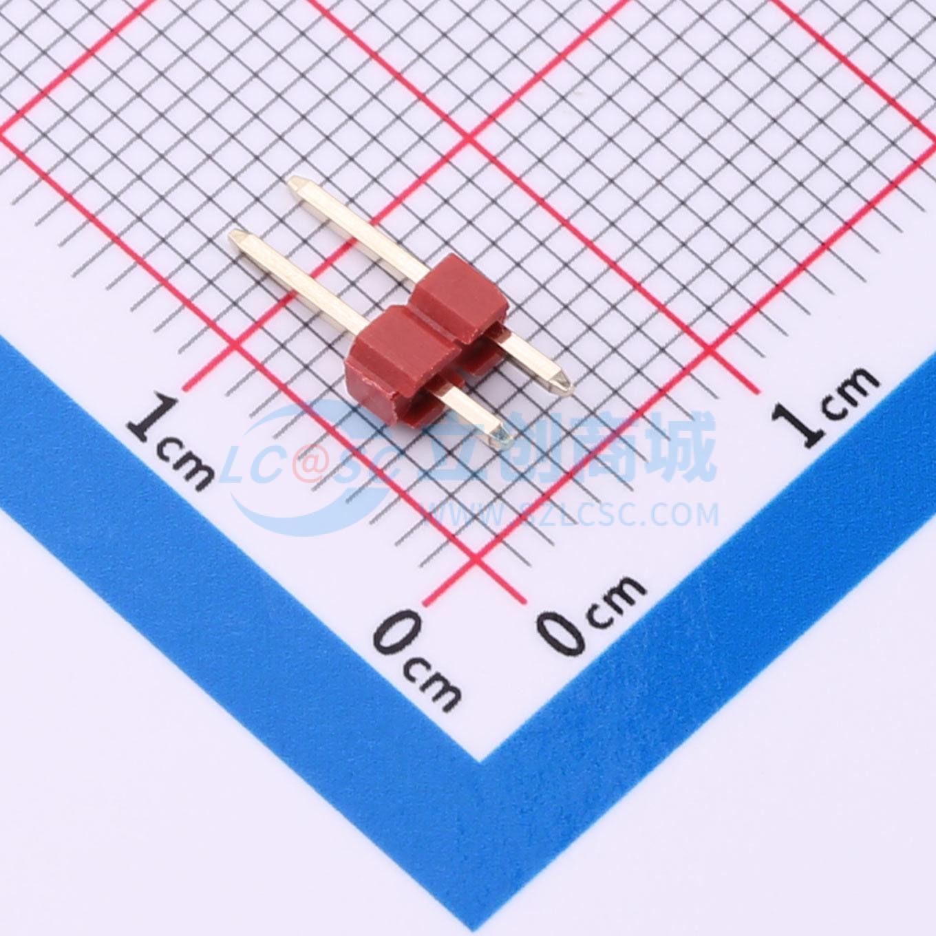 点击查看大图 PZ254V-11-02P-RD实物图