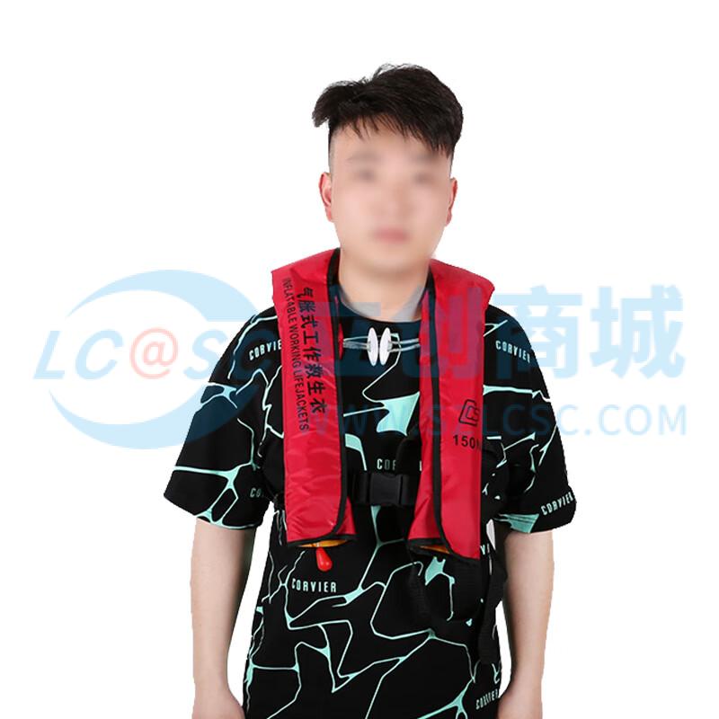 ZHIZHEN1199实物图