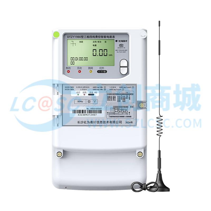 DTZY1980/5(60)A实物图