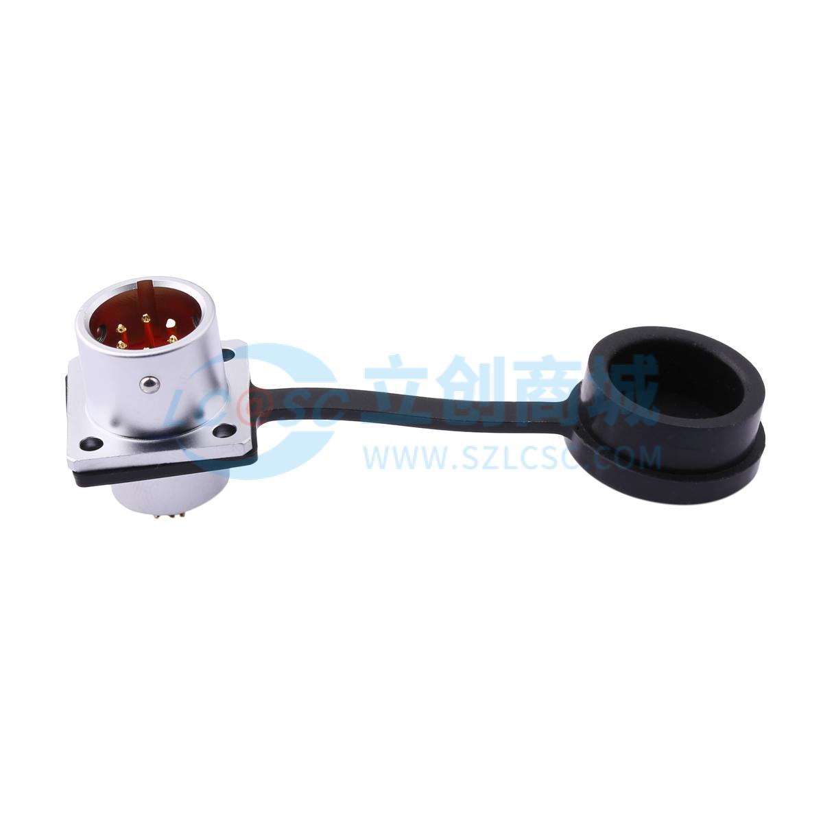 SF12.C13L06实物图