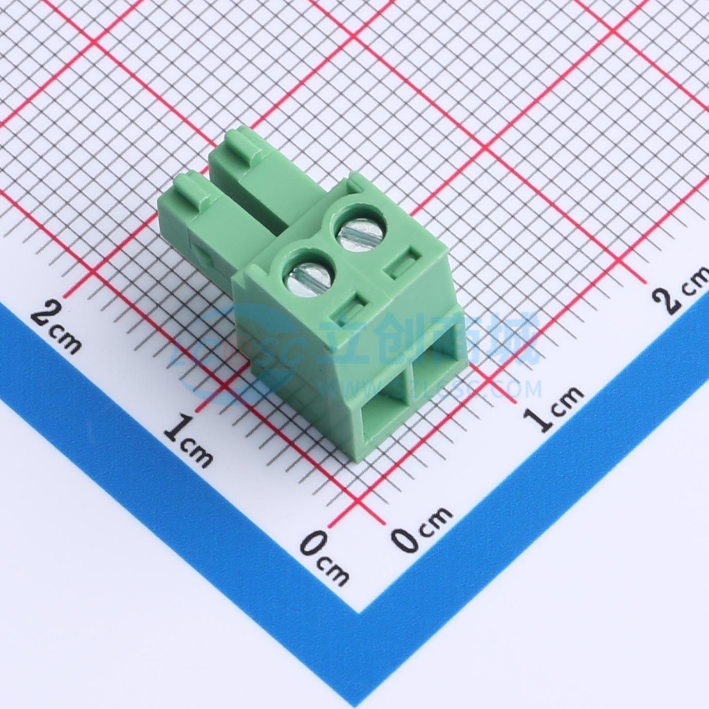 ZX-DGK-3.81-2P实物图