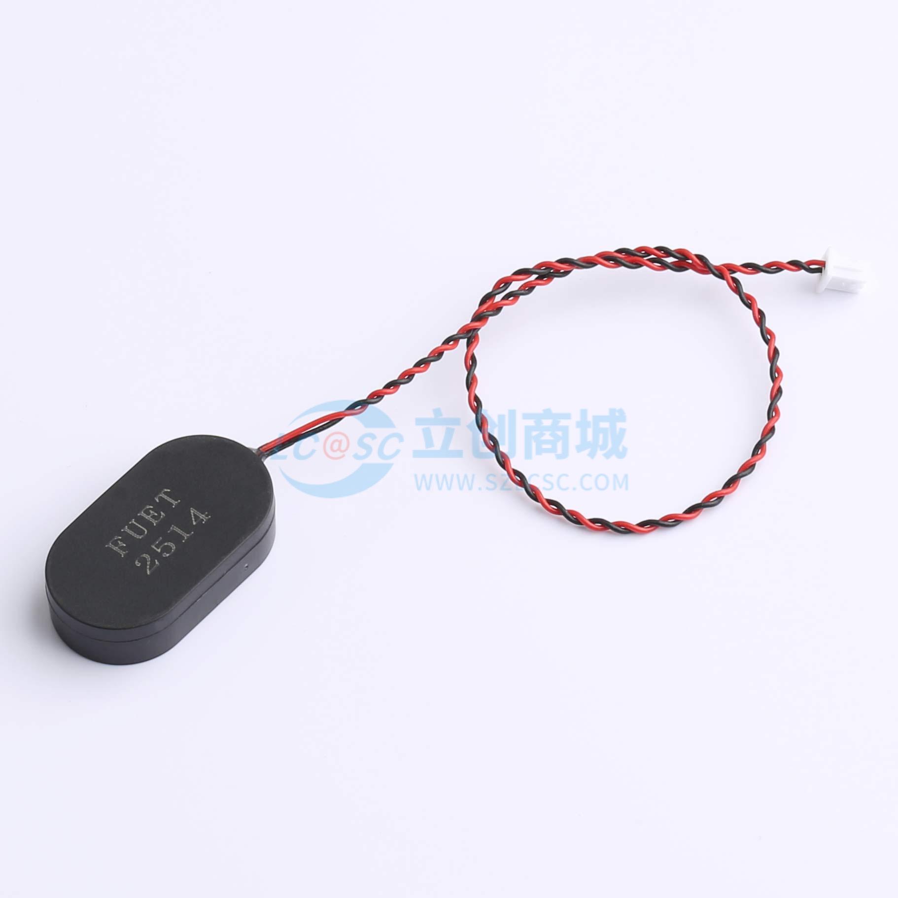 点击查看大图 FS2514NB0808-H6.0-R01实物图