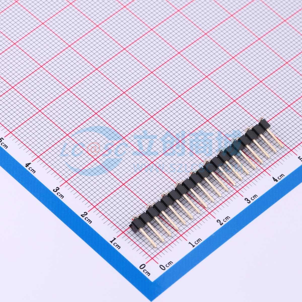 点击查看大图 DZ254S-11-19-50实物图