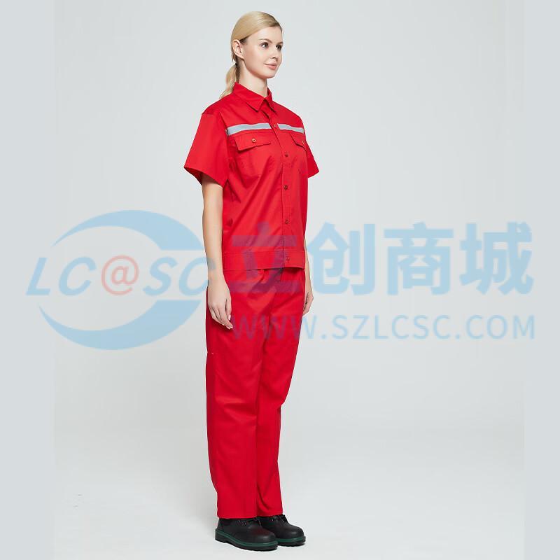 6003 195/5XL实物图