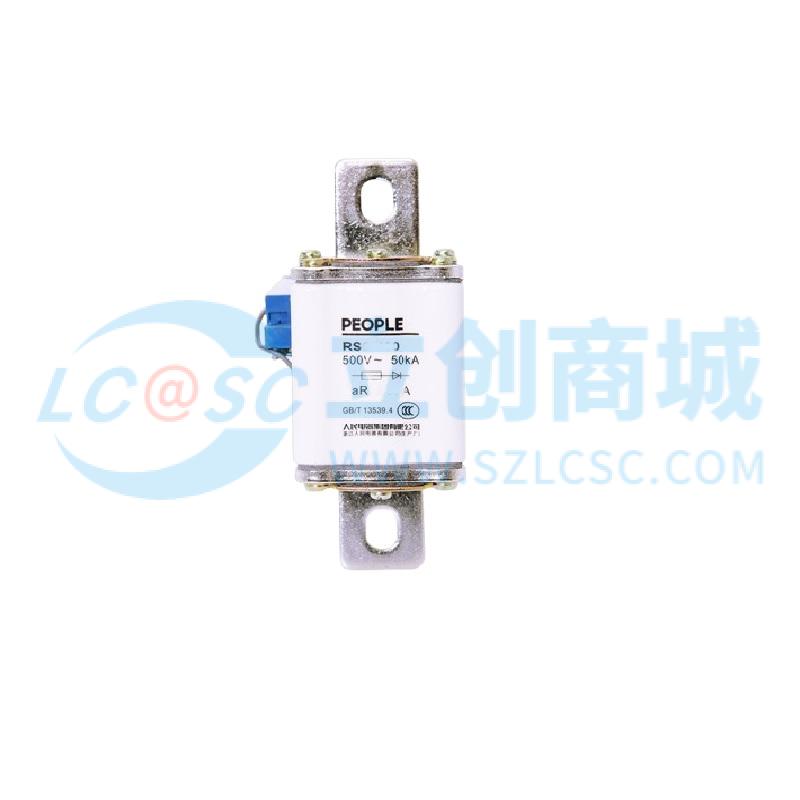 RS0-100/80A实物图