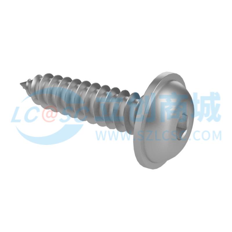 (260)ST3*10实物图