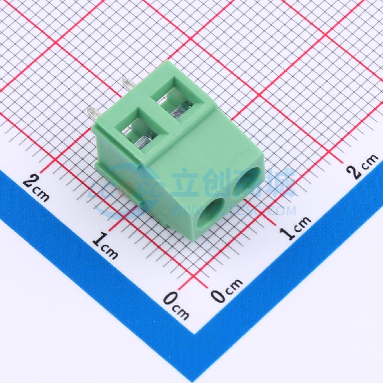 BX-DG28L-5.08-2P实物图