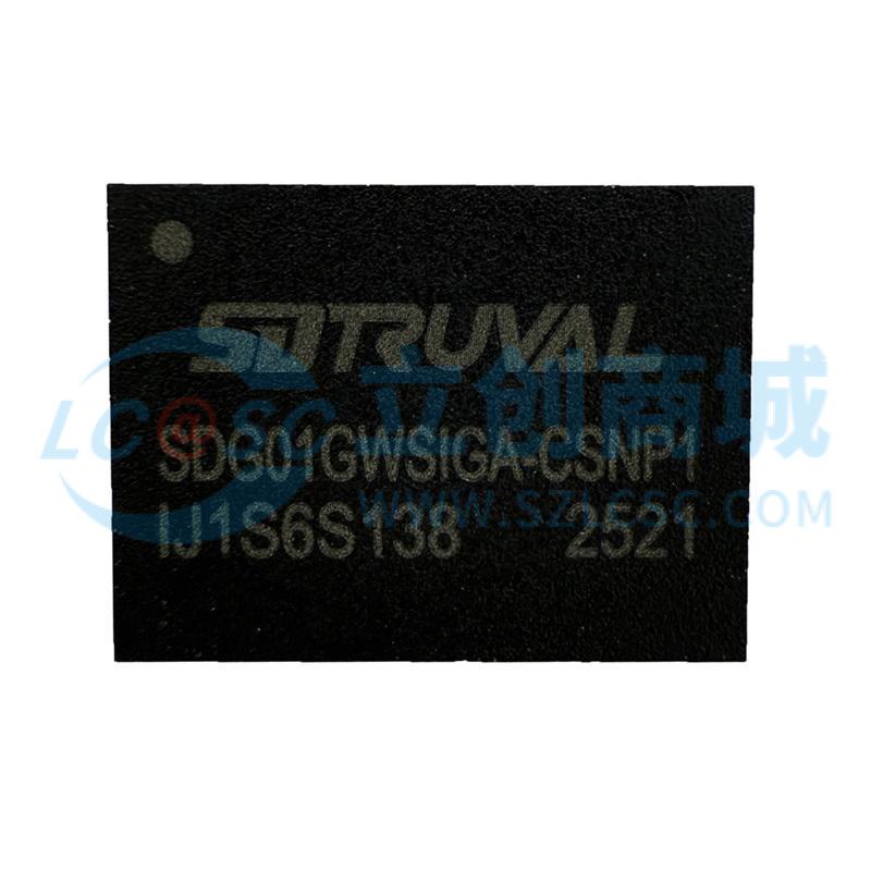 SDG01GWSIGA-CSNP1实物图