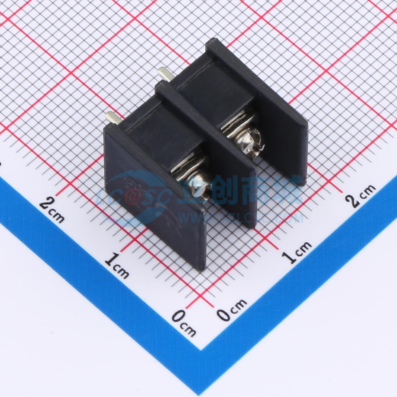 点击查看大图 ZX-DG10-7.62-2P实物图