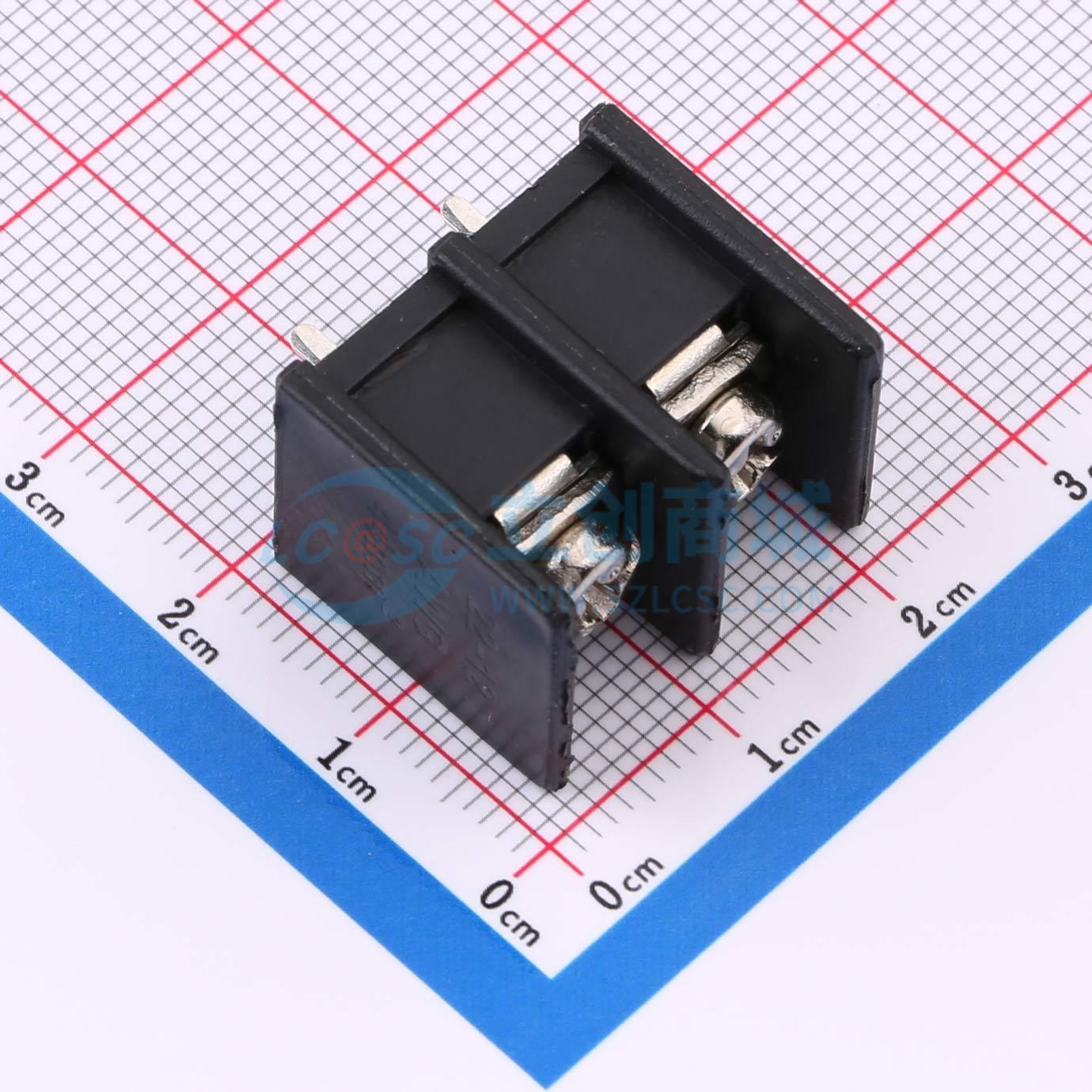 点击查看大图 ZX-DG10-9.5-2P实物图