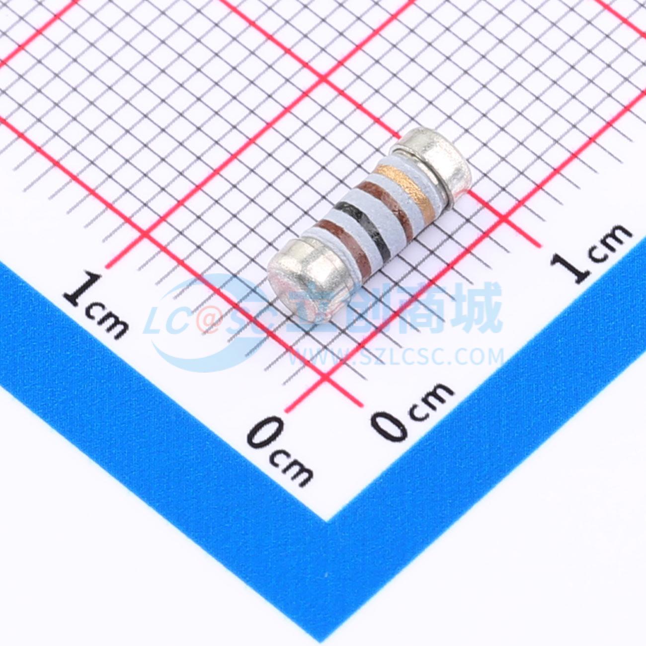 点击查看大图 RXF-1WS-100R-J-0309实物图