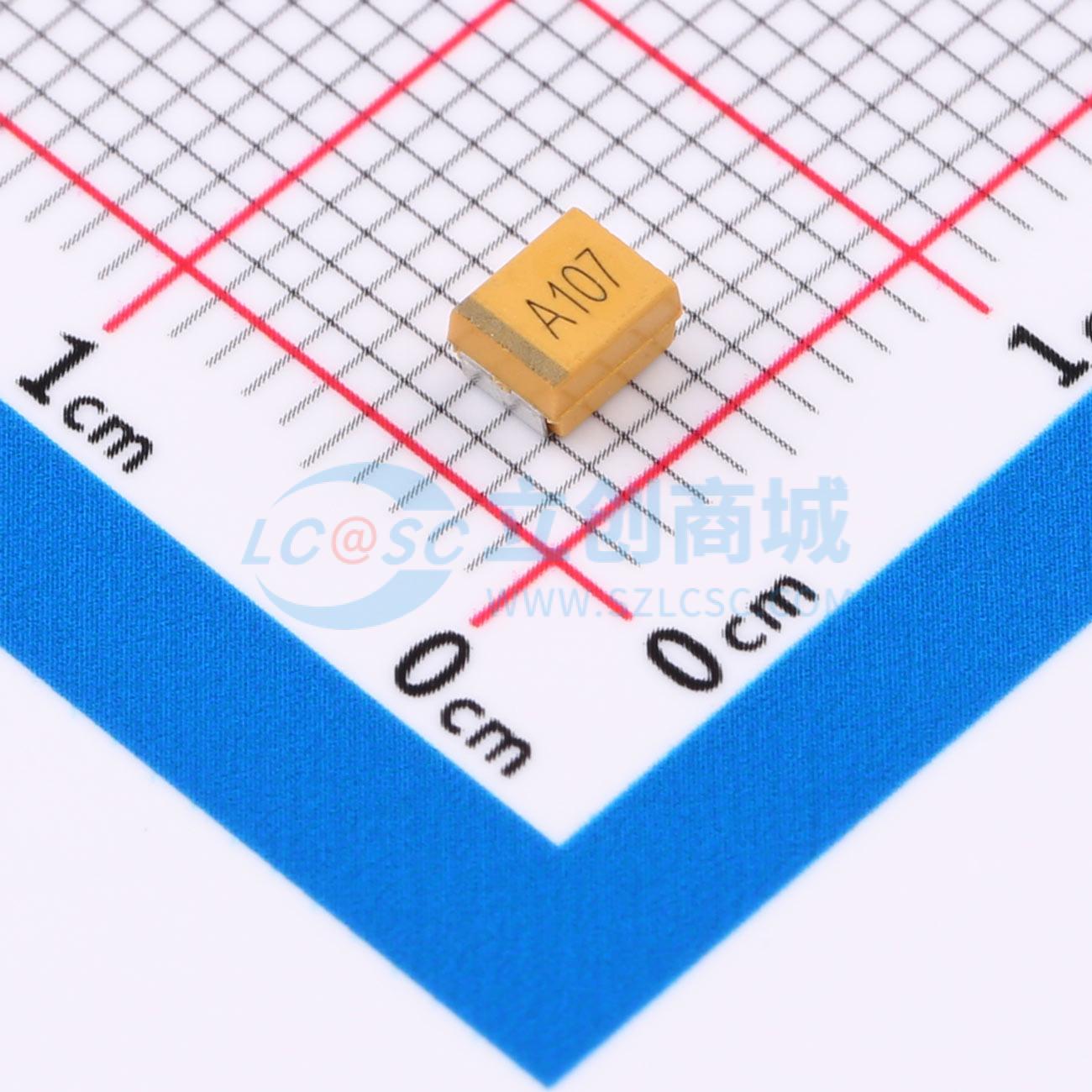 CA45-B010K107T实物图