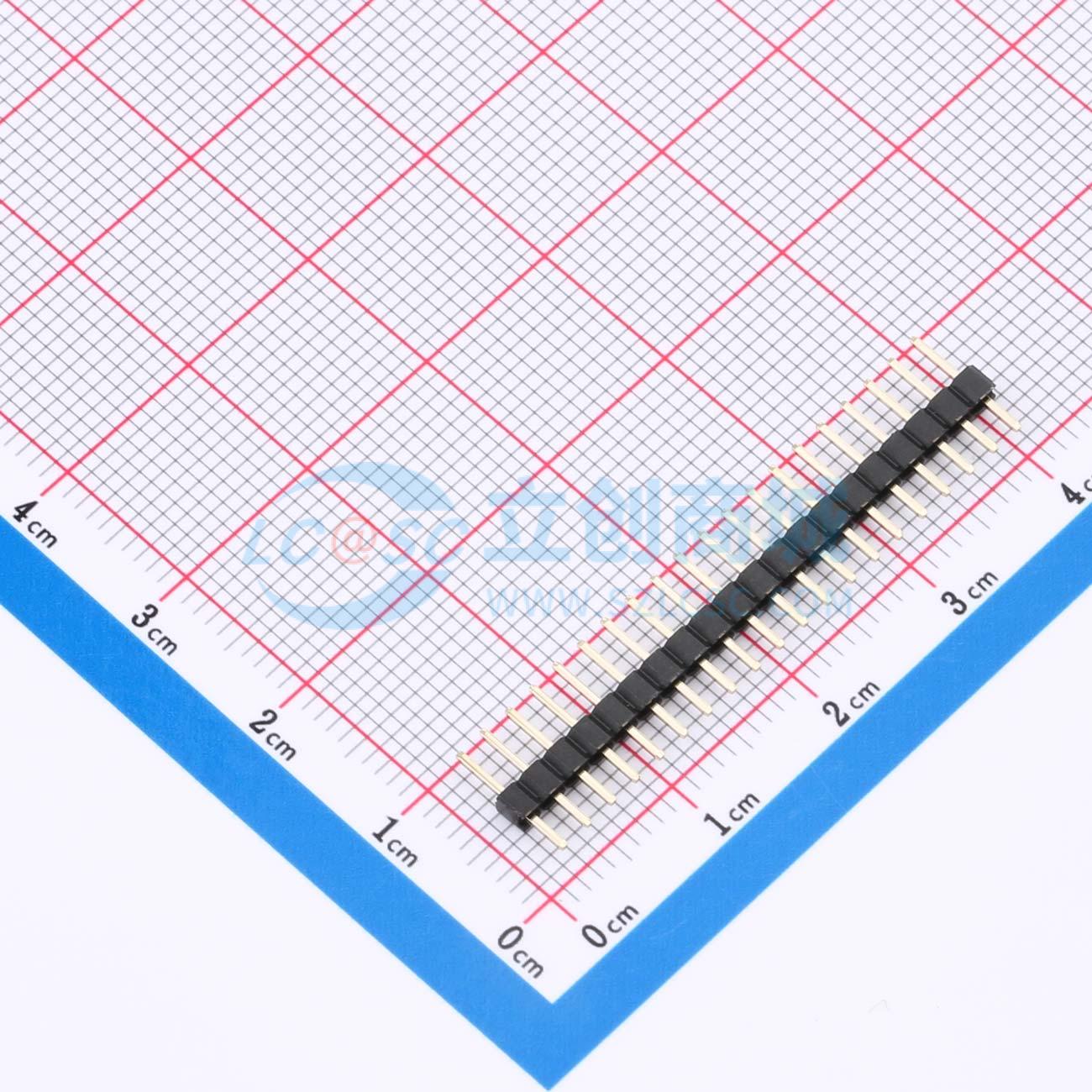 点击查看大图 PZ200-1-20-Z实物图