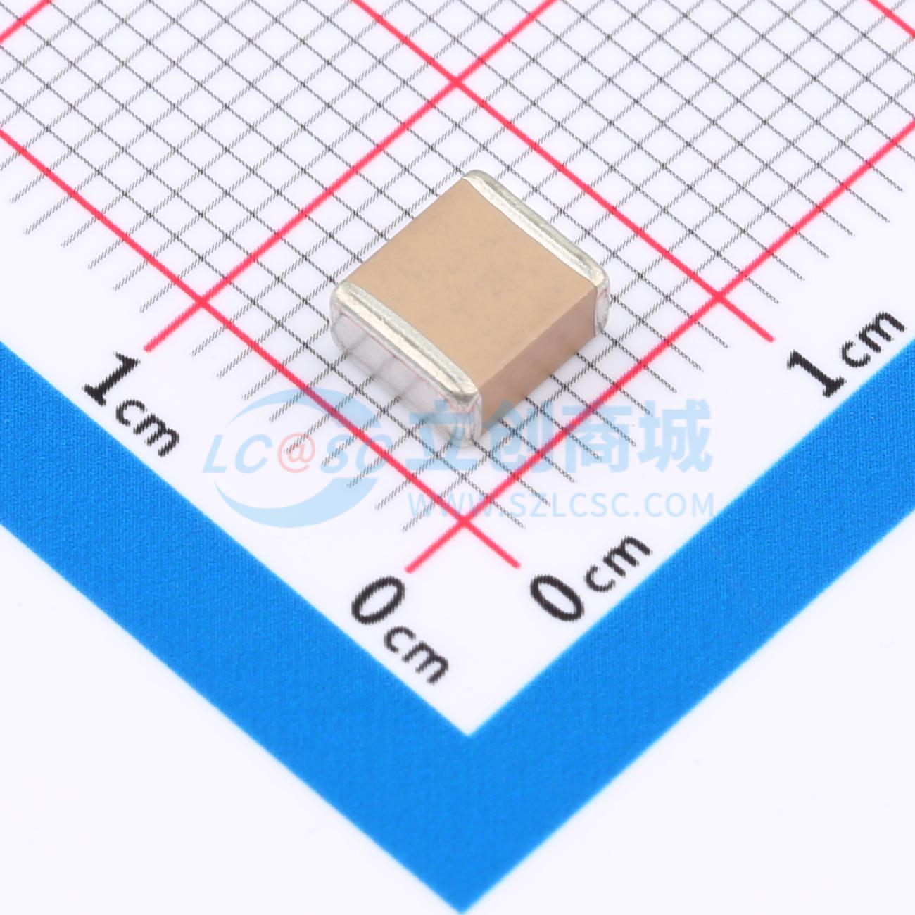 点击查看大图 FS55X105K631EHG实物图