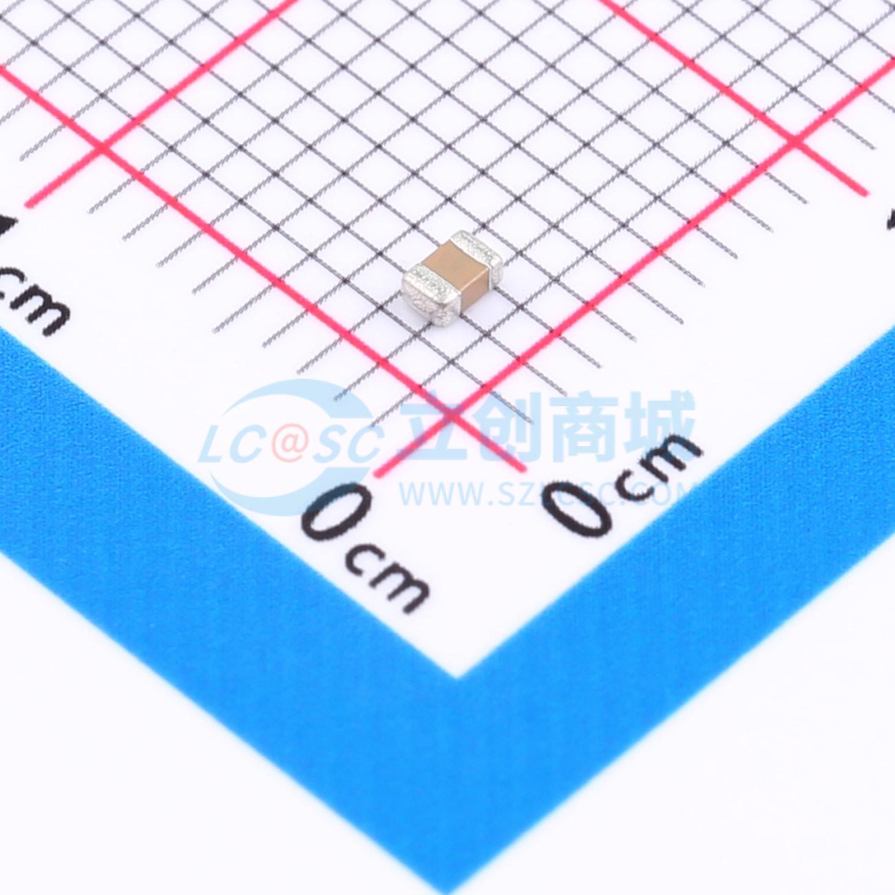 FP21X102K102PXG实物图