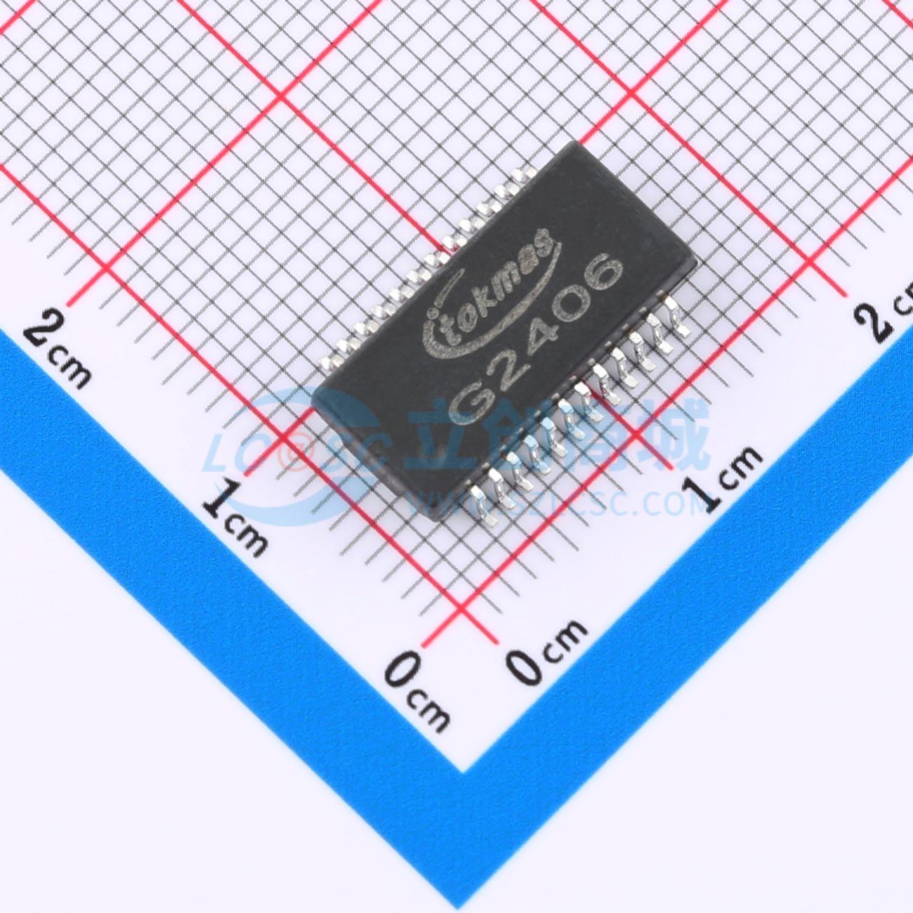 点击查看大图 G2406(TOKMAS)实物图