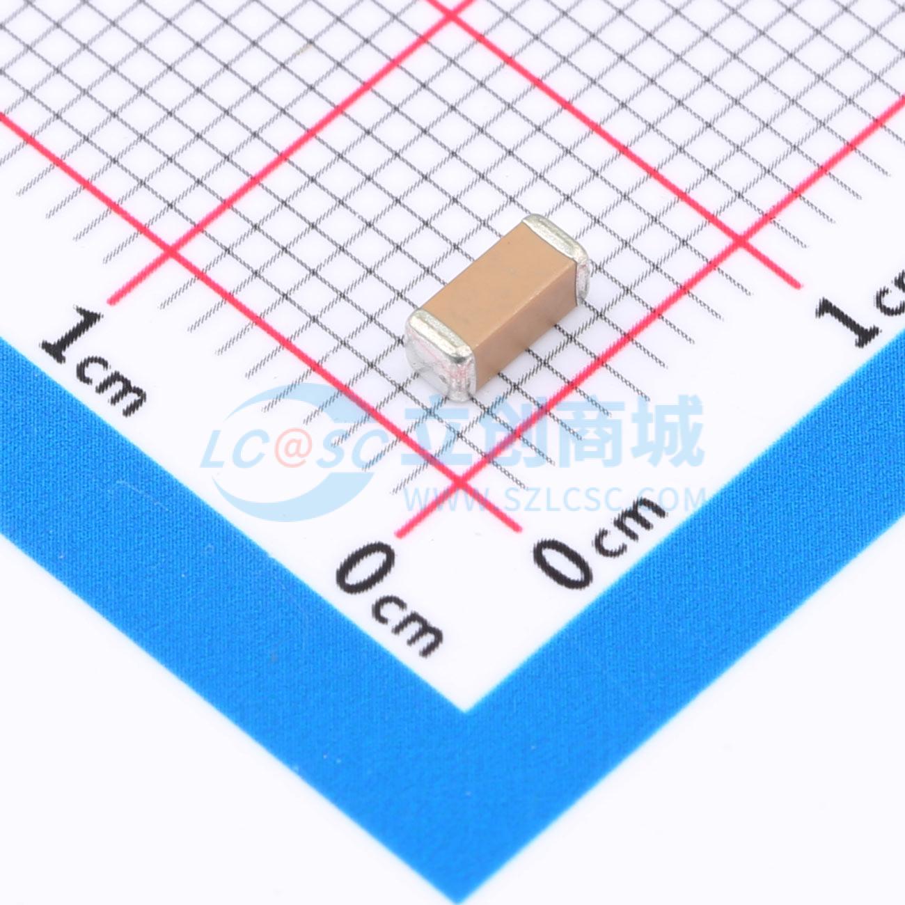 FP42X102K302EFG实物图