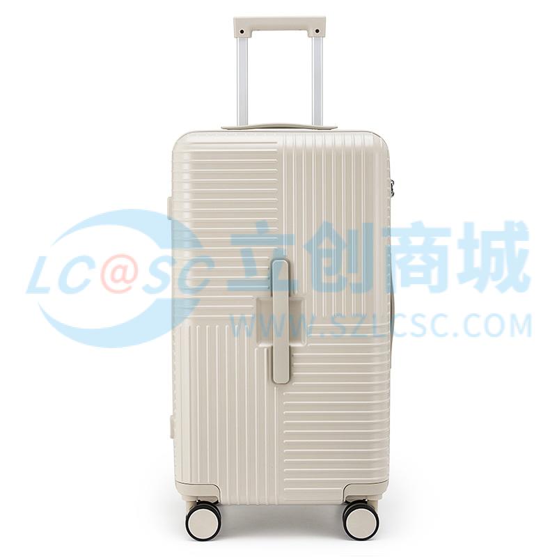 CX8125-28石英灰实物图