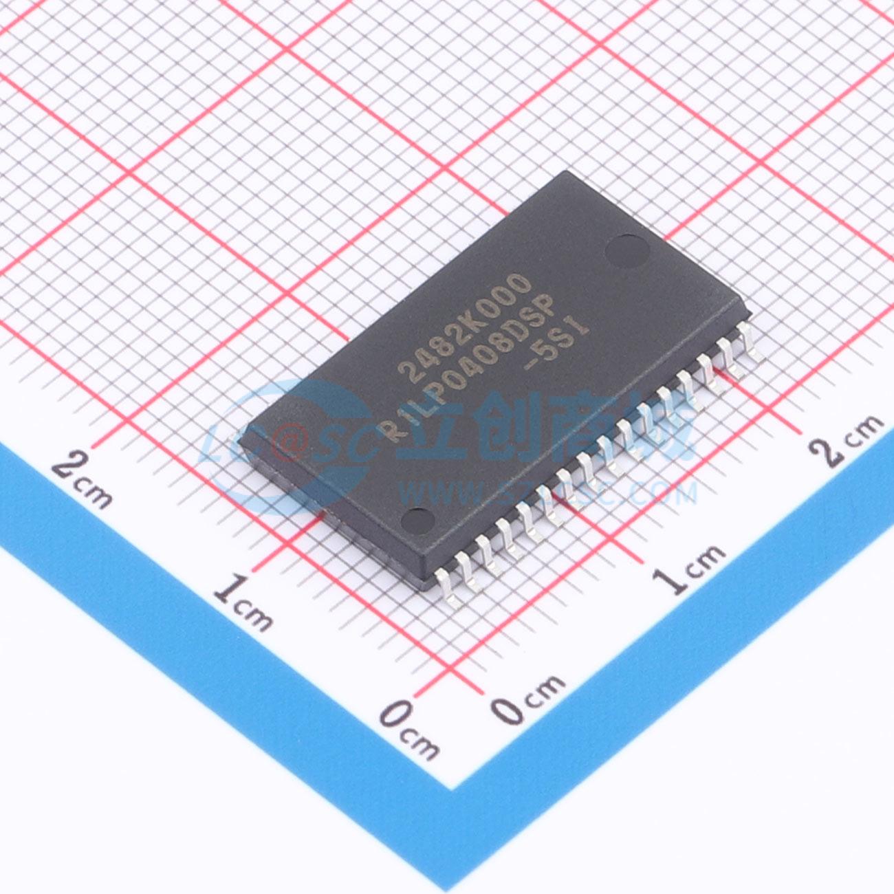 点击查看大图 R1LP0408DSP-5SI#S1实物图