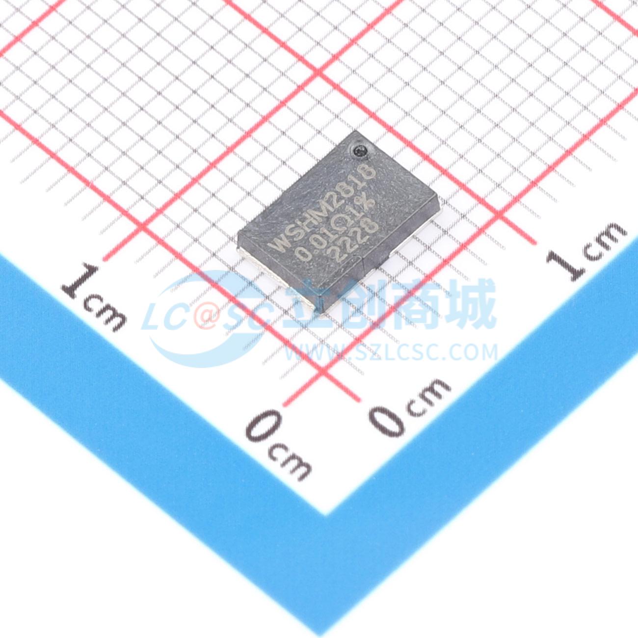 点击查看大图 WSHM2818R0100FEB实物图